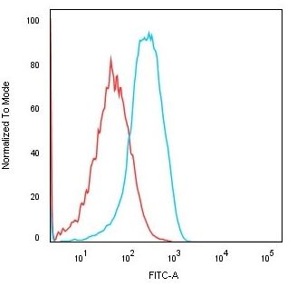 Flow Cytometry - Anti-Cadherin 16 antibody [CDH16/1532R] (AB270263)