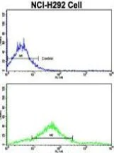 Flow Cytometry (Intracellular) - Anti-Cadherin 7 antibody - N-terminal (AB189965)