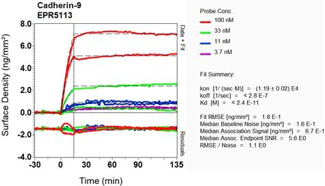 OI-RD Scanning - Anti-Cadherin 9 antibody [EPR5113] (AB124803)