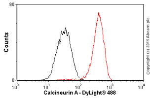 Flow Cytometry (Intracellular) - Anti-Calcineurin A antibody [EP1669Y] - BSA and Azide free (AB239848), expandable thumbnail