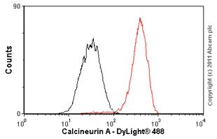 Flow Cytometry (Intracellular) - Anti-Calcineurin A antibody [EP1669Y] - BSA and Azide free (AB239848)