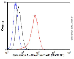 Flow Cytometry (Intracellular) - Anti-Calcineurin A antibody [EPR1670(2)] - BSA and Azide free (AB239975)