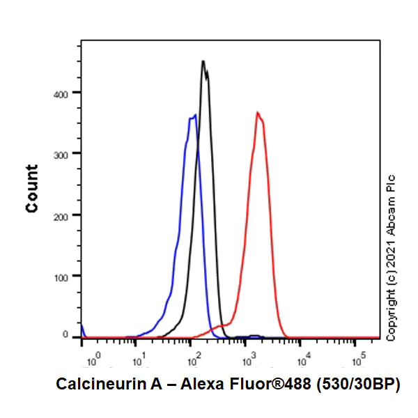 Flow Cytometry (Intracellular) - Anti-Calcineurin A antibody [EPR24997-22] (AB282104)