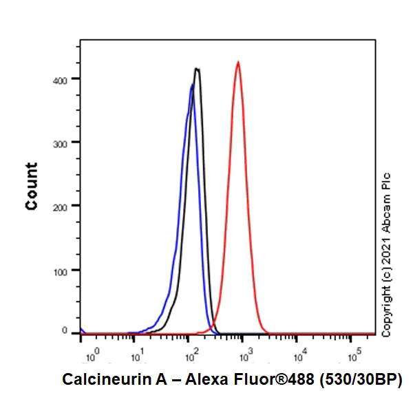 Flow Cytometry (Intracellular) - Anti-Calcineurin A antibody [EPR24997-22] (AB282104)