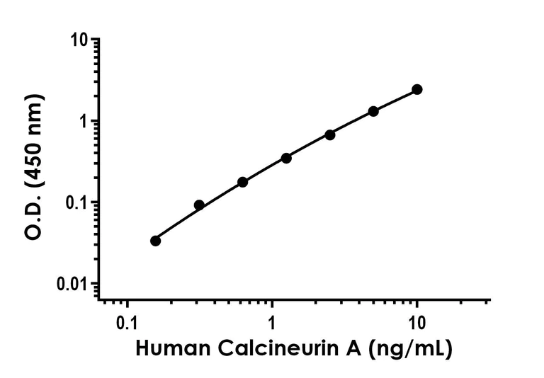 Sandwich ELISA - Anti-Calcineurin A antibody [EPR26649-9] - BSA and Azide free (Capture) (AB315409)