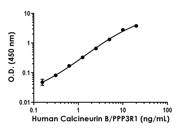 Sandwich ELISA - Calcineurin B/PPP3R1 Antibody Pair - BSA and Azide free (AB300722)