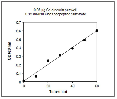 Functional Studies - Calcineurin Phosphatase Activity Assay Kit (Colorimetric) (AB139461)