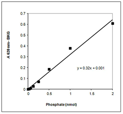 Functional Studies - Calcineurin Phosphatase Activity Assay Kit (Colorimetric) (AB139461)