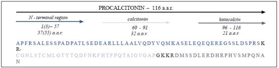 Schematic Diagram - Anti-Calcitonin antibody [16B5] (AB11493)