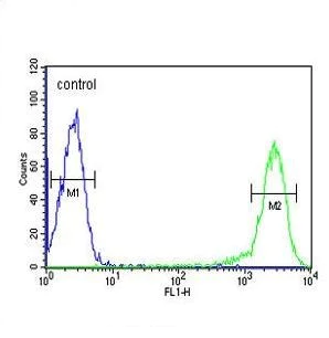 Flow Cytometry (Intracellular) - Anti-Calcitonin receptor/CT-R antibody (AB230500)