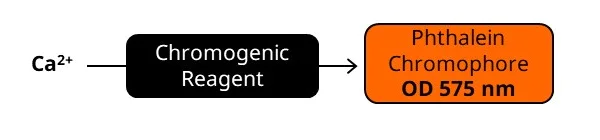 Biochemical assay - Calcium Assay Kit (Colorimetric) (AB102505)
