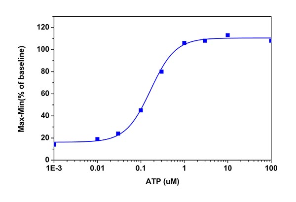 Functional Studies - Calcium Flux Assay Kit (Fura-2, No Wash, Ratiometric) (AB176766), expandable thumbnail