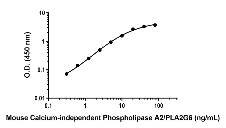 Sandwich ELISA - Anti-Calcium-independent Phospholipase A2/PLA2G6 antibody [EPR26992-82]-BSA and Azide free(Capture) (AB309595)