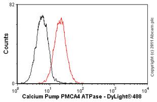 Flow Cytometry - Anti-Calcium Pump PMCA4 ATPase antibody [JA9] (AB2783), expandable thumbnail