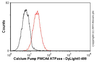 Flow Cytometry - Anti-Calcium Pump PMCA4 ATPase antibody [JA9] (AB2783)