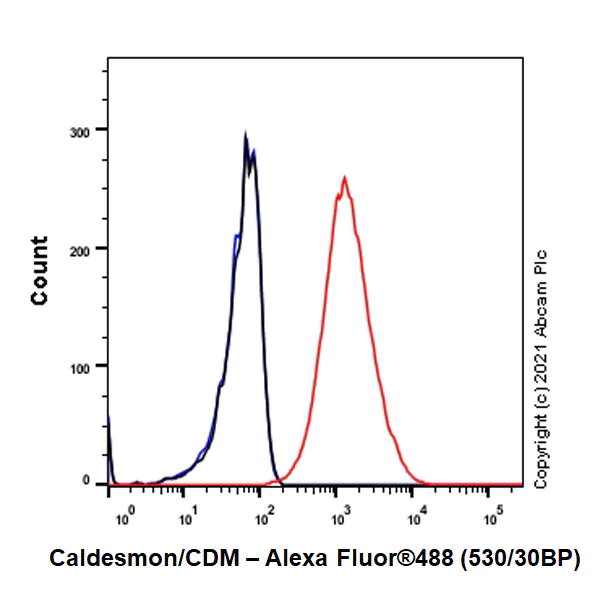 Flow Cytometry (Intracellular) - Anti-Caldesmon/CDM antibody [E89] - BSA and Azide free (AB215275)