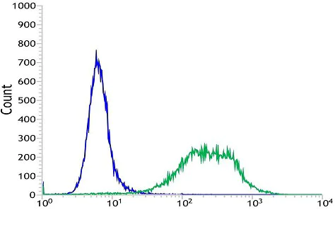 Flow Cytometry (Intracellular) - Anti-Caldesmon/CDM antibody [SP226] - BSA and Azide free (AB238782)