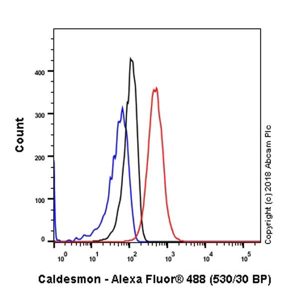 Flow Cytometry (Intracellular) - Anti-Caldesmon/CDM antibody [SP226] - BSA and Azide free (AB238782)