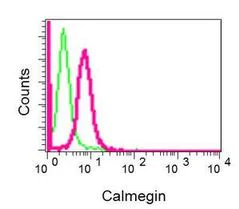 Flow Cytometry (Intracellular) - Anti-Calmegin antibody [EPR11832-11] - BSA and Azide free (AB249695)