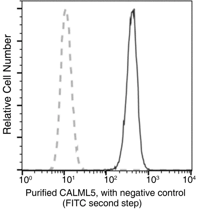 Flow Cytometry (Intracellular) - Anti-CALML5 antibody [158] - BSA and Azide free (AB276058)