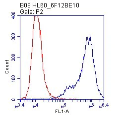 Flow Cytometry - Anti-Calnexin antibody [6F12BE10] (AB112995)