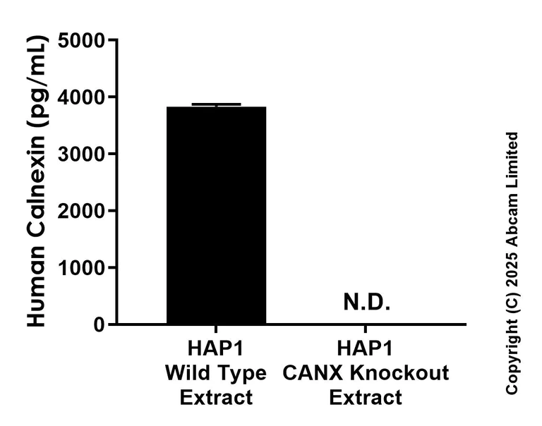 Sandwich ELISA - Anti-Calnexin antibody [EPR28028-114] - BSA and Azide free (Detector) (AB324471)