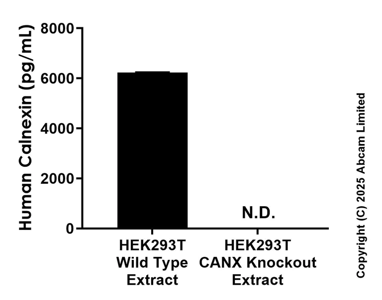 Sandwich ELISA - Anti-Calnexin antibody [EPR28028-114] - BSA and Azide free (Detector) (AB324471)