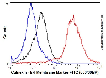 Flow Cytometry (Intracellular) - Anti-Calnexin antibody [EPR3633(2)] - BSA and Azide free (AB225542)