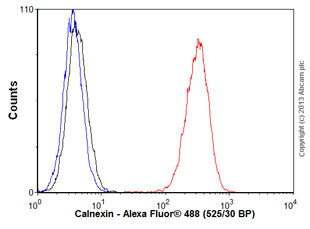 Flow Cytometry (Intracellular) - Anti-Calnexin antibody [EPR3633(2)] - ER Membrane Marker (ab133615), expandable thumbnail