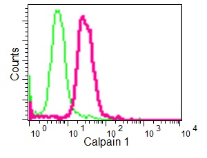 Flow Cytometry (Intracellular) - Anti-Calpain 1 antibody [EPR3319] (AB108400)
