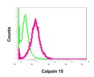 Flow Cytometry (Intracellular) - Anti-Calpain 15/SOLH antibody [EPR11078] - BSA and Azide free (AB249597)