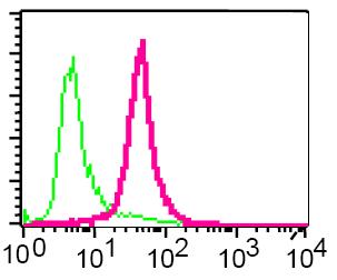 Flow Cytometry (Intracellular) - Anti-Calpain 2 antibody [EPR2562Y] (AB75994), expandable thumbnail