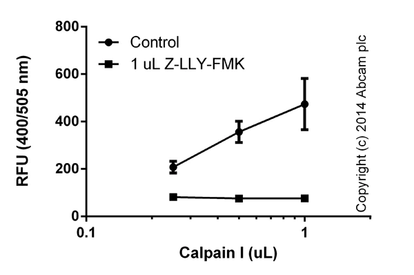Functional Studies - Calpain Activity Assay Kit (AB65308)