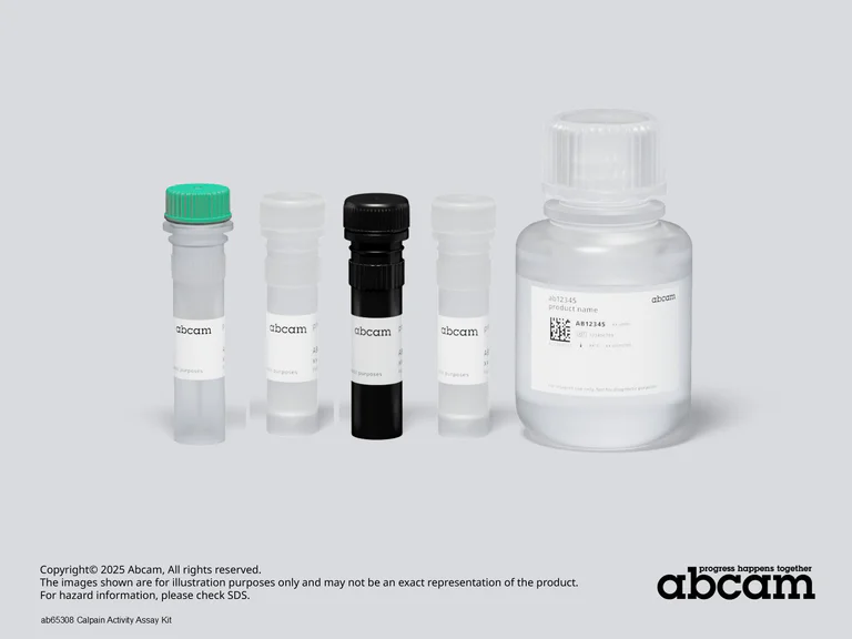 Other - Calpain Activity Assay Kit (AB65308)