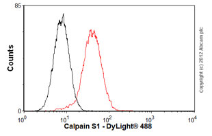 Flow Cytometry (Intracellular) - Anti-Calpain small subunit 1 antibody [EPR3324] (AB92333)