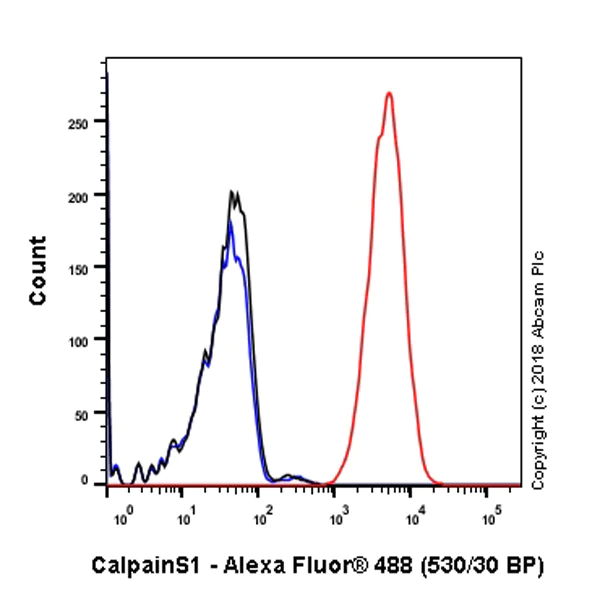 Flow Cytometry (Intracellular) - Anti-Calpain small subunit 1 antibody [SP81] (AB101683)