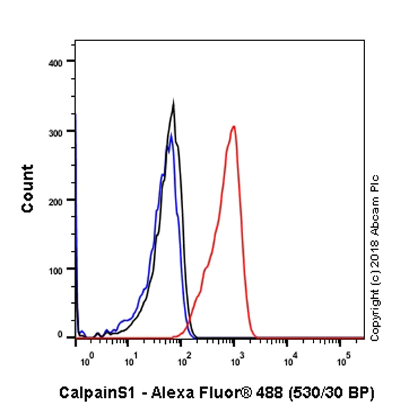 Flow Cytometry (Intracellular) - Anti-Calpain small subunit 1 antibody [SP81] - BSA and Azide free (AB238801)
