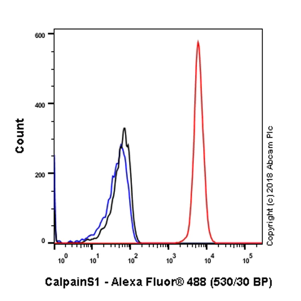 Flow Cytometry (Intracellular) - Anti-Calpain small subunit 1 antibody [SP81] - BSA and Azide free (AB238801)