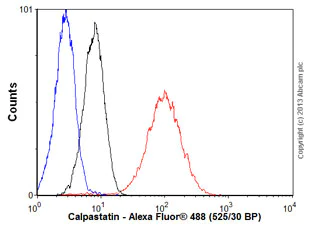 Flow Cytometry (Intracellular) - Anti-Calpastatin antibody [SP82] - BSA and Azide free (AB240938)
