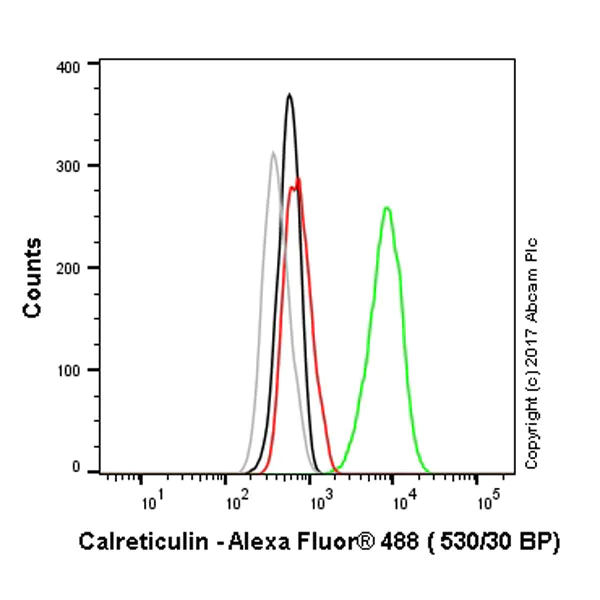 Flow Cytometry (Intracellular) - Anti-Calreticulin antibody [EPR3924] - BSA and Azide free (AB271865)
