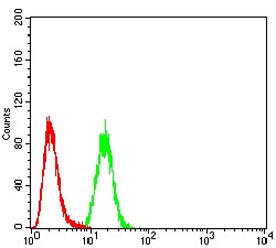 Flow Cytometry - Anti-Calretinin antibody [1F5H1] (AB204990), expandable thumbnail