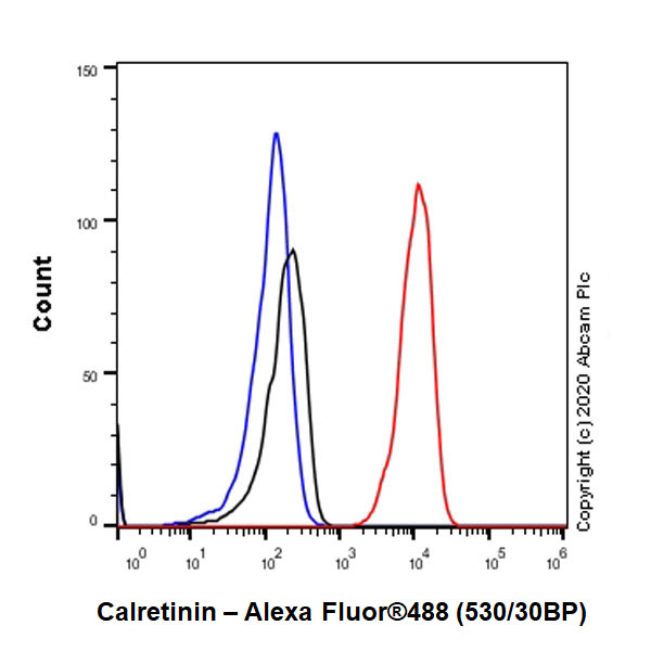 Flow Cytometry (Intracellular) - Anti-Calretinin antibody [EP1798] - BSA and Azide free (AB232462)