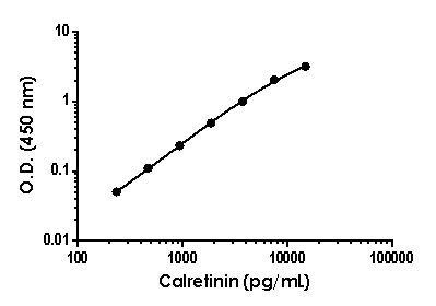 Sandwich ELISA - Anti-Calretinin antibody [EPR21094-209] - BSA and Azide free (Detector) (AB245002)