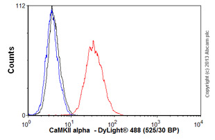 Flow Cytometry (Intracellular) - Anti-CaMKII alpha antibody [EPR1828] (AB92332), expandable thumbnail