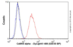 Flow Cytometry (Intracellular) - Anti-CaMKII alpha antibody [EPR1828] (AB92332)