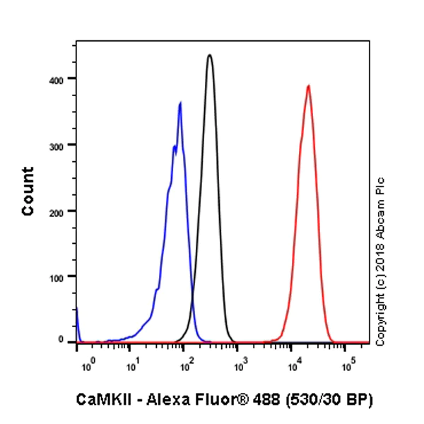 Flow Cytometry (Intracellular) - Anti-CaMKII antibody [EPR6686(2)] (AB134041)