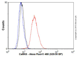 Flow Cytometry (Intracellular) - Anti-CaMKII antibody [EPR6686(2)] - BSA and Azide free (AB227108)
