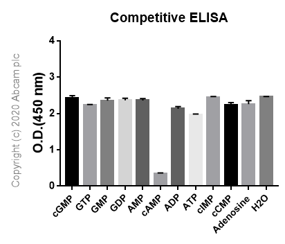 ELISA - Anti-cAMP antibody [EP8471] (AB134901)