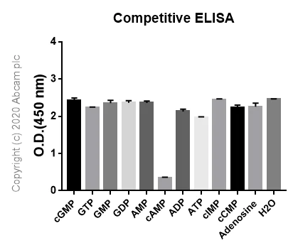 ELISA - Anti-cAMP antibody [EP8471] - BSA and Azide free (AB179459)