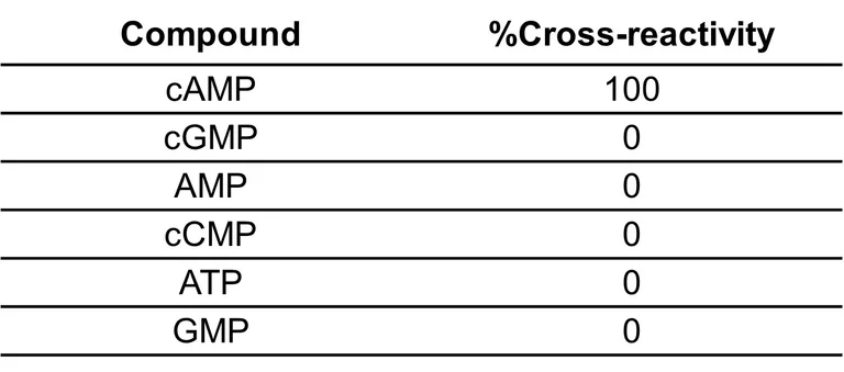 Competitive ELISA - Anti-cAMP antibody [EPR29425-41] - BSA and Azide free (AB326114)